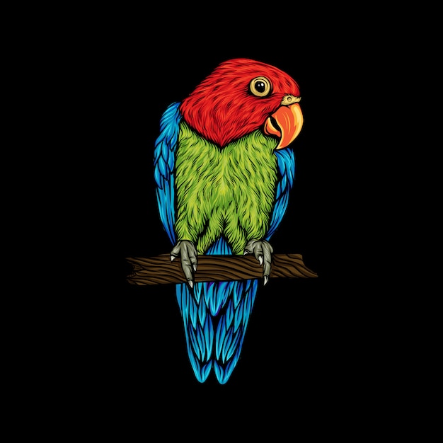 Vettore illustrazione di pappagallo