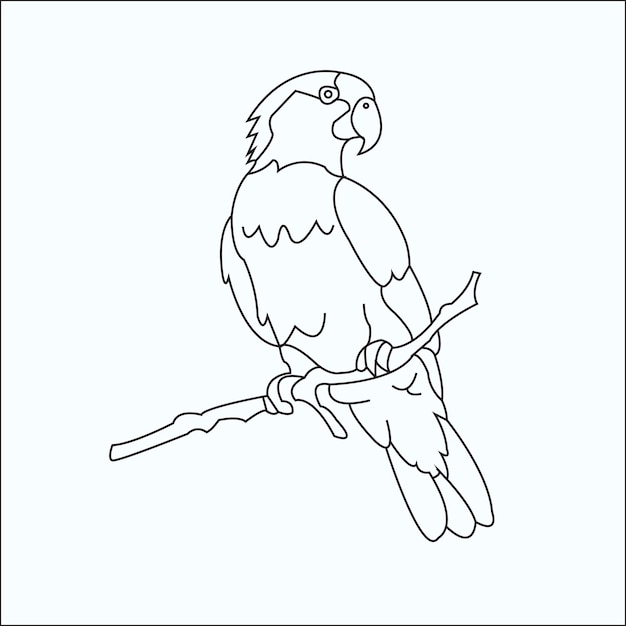 Vector parrot isolated coloring page for kids