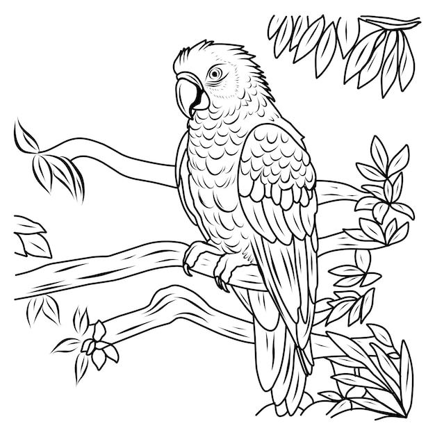 Parrot Macaw coloring page Bird exotic coloring page