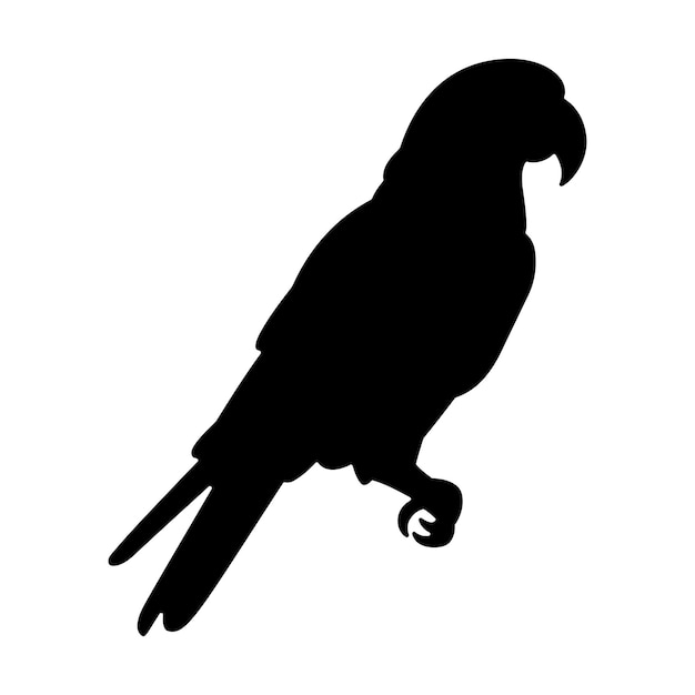 Parrot silhouette cute black parrot sitting pose silhouette parrot bird vector illustrator