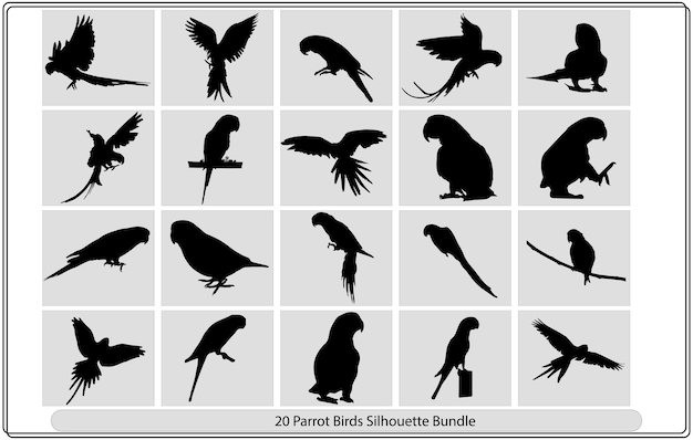 Parrot silhouette set