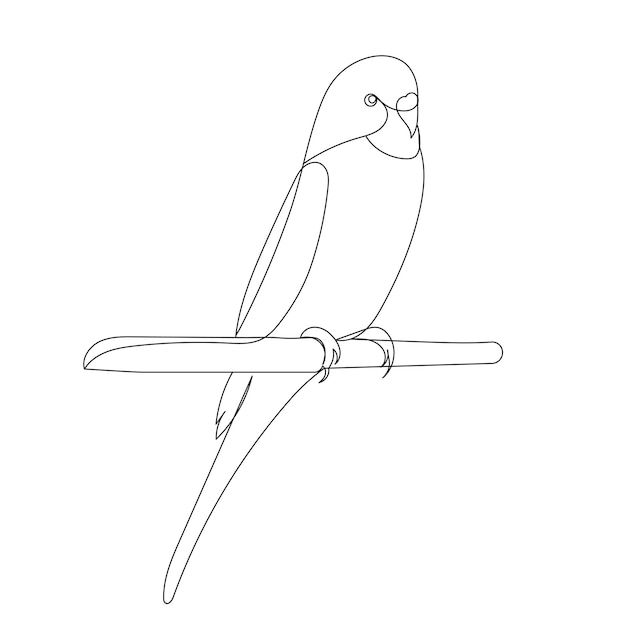 parrot sitting on a branch line drawing sketch isolated vector