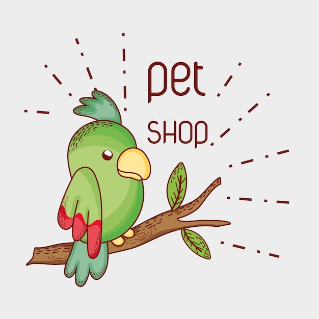 Parrot on tree branch pet shop