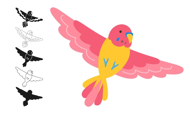 Set di cartoni animati tropicali pappagallo pappagalli pappagallini luminosi esotici che volano contorno segno vettore vivido divertente