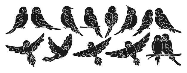 Parrot tropical engraving set summer wild exotic flying bird wildlife jungle Hawaiian cute vector