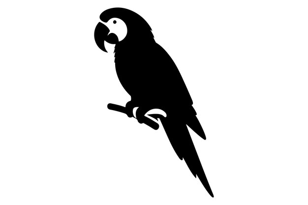 Vector parrot vector art illustration silhouette