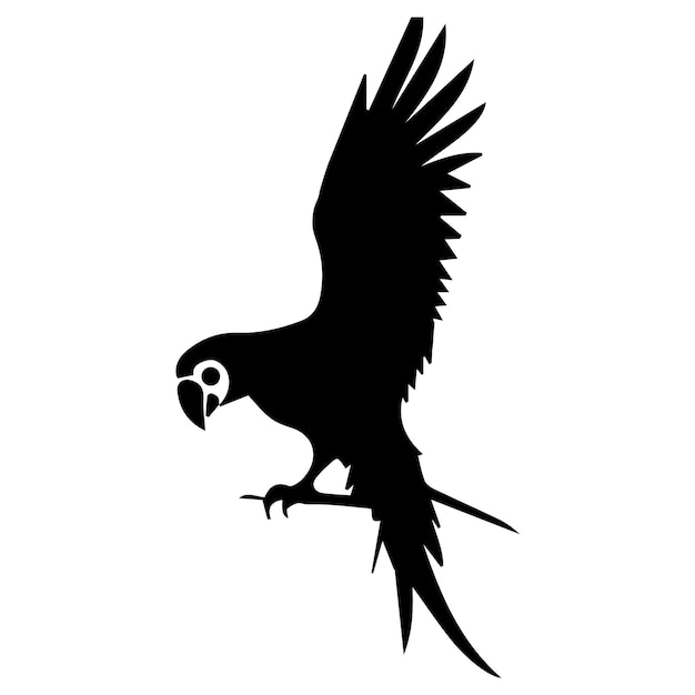 Parrot Vector Silhouette Black color clipart parrot logo concept