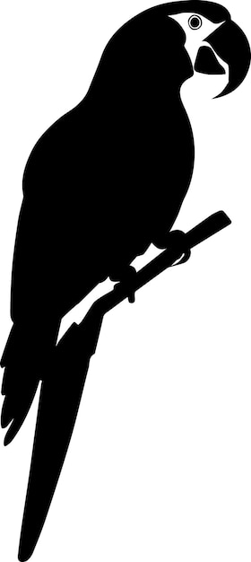 Vector parrot vector silhouette illustration 10