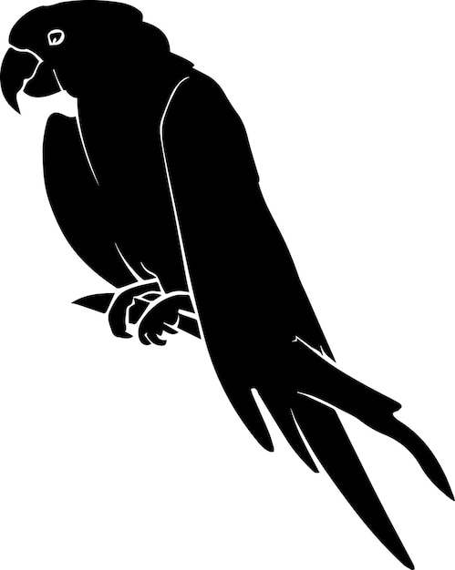 Vector parrot vector silhouette illustration 13