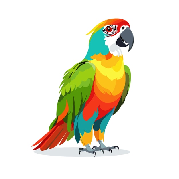 Vector parrot vector on a white background