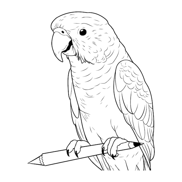 Vector parrot with pencil black and white vector illustration for coloring book