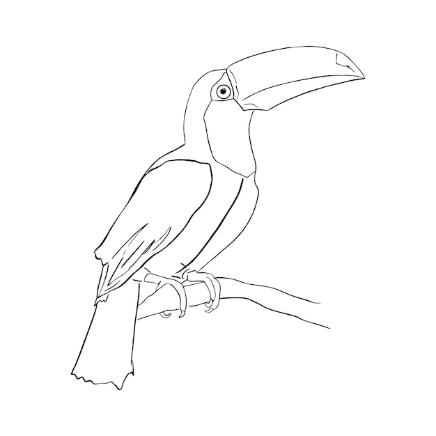 オウム