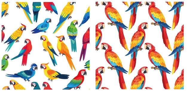 Папуги - красочные тропические птицы