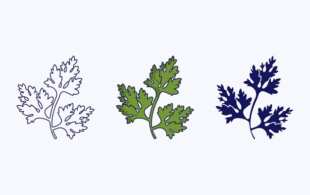 Vector parsley icon