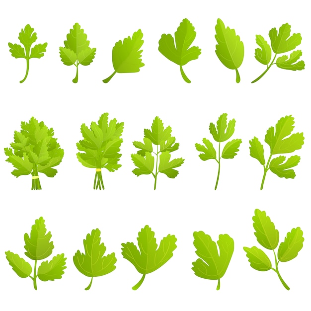 Parsley icons set, cartoon style