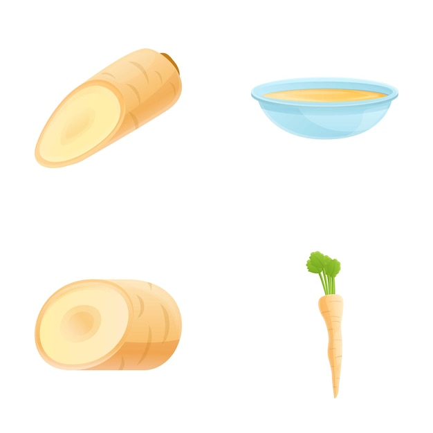 Vector parsnip dish icons set cartoon vector fresh organic parsnip root