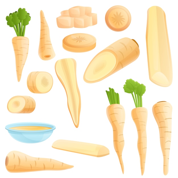 Parsnip icons set, cartoon style