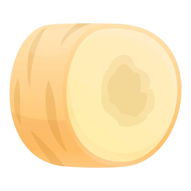 Parsnip roll icon Cartoon of parsnip roll vector icon for web design isolated on white background