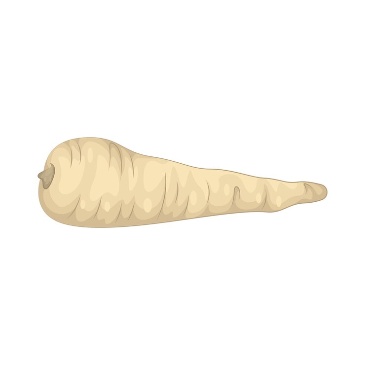 Vector parsnip