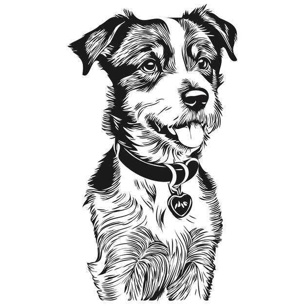 Vector parson russell terrier dog head line drawing vectorhand drawn illustration with transparent background