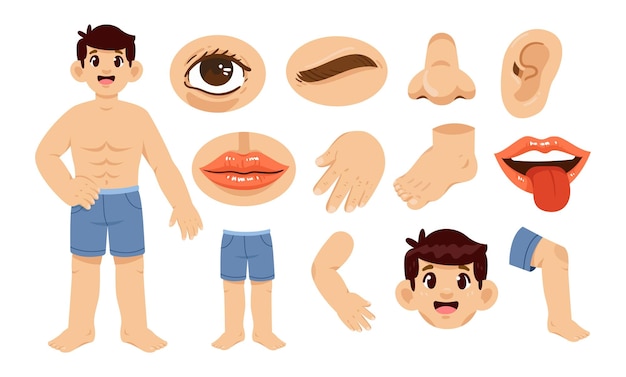 Vector part of the human body element vector illustration set