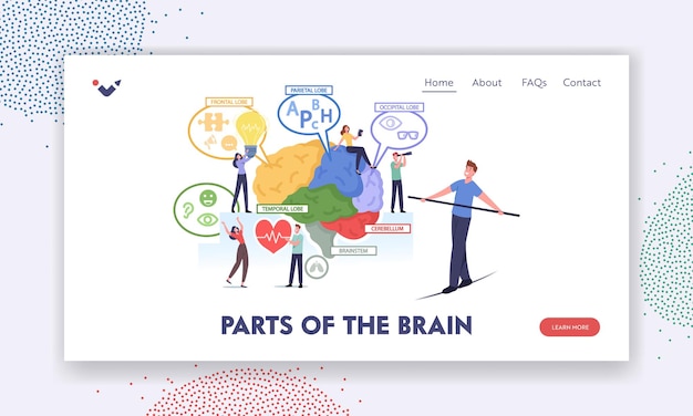 Vector parts of the brain landing page template. tiny characters at huge human brain separated on frontal, parietal, occipital, temporal lobes, cerebellum, brainstem chart. cartoon people vector illustration