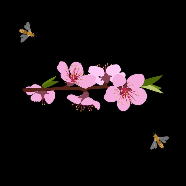 Parts of plants Blooming branch pink with flowers green leaves on a black background