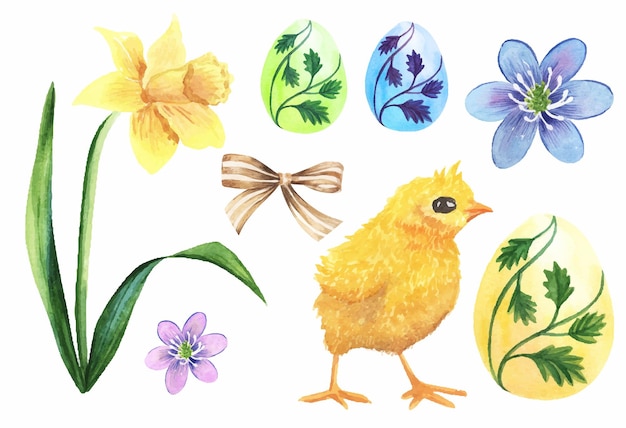 Pasen-reeks illustraties vakantie-elementen Narcis of narcissen bloemeieren met bloemenornament en kip beige boog