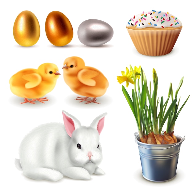 Pasen set items. konijn, narcissen, eieren, kippen, cupcake