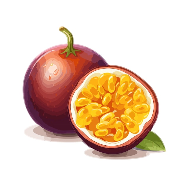 Passion fruit vector on white background