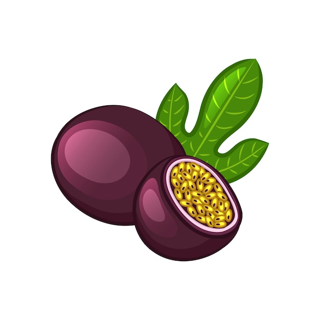 Passion fruit with green leaf and cut half Cartoon icon Isolated object on a white background