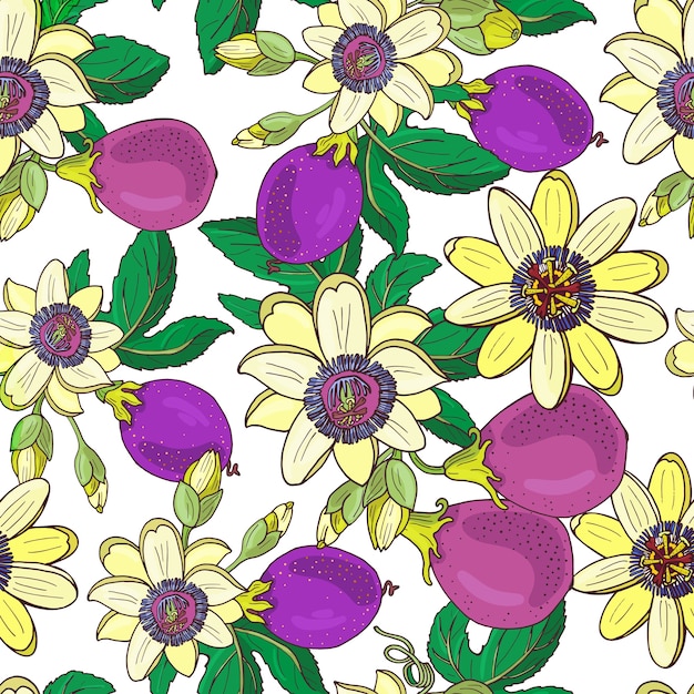 Passionflower passiflora, 흰색 배경에 열정 보라색 과일. 꽃 원활한 pattern.Big 밝은 이국적인 Maracuja 꽃, 꽃 봉 오리 및 잎. 인쇄 섬유, 직물에 대 한 여름 그림입니다.