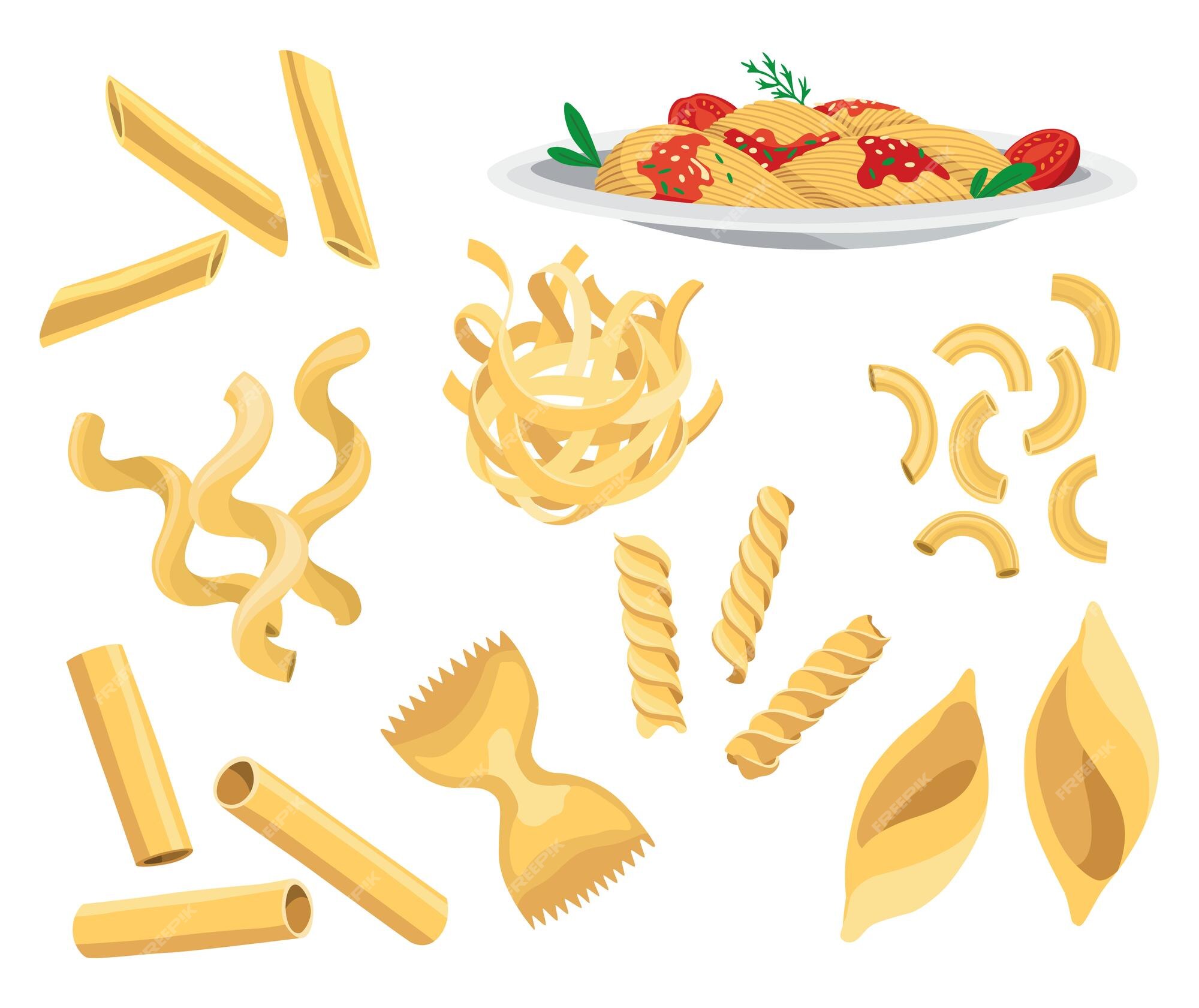 Delicious italian pasta types of high quality Vector Image