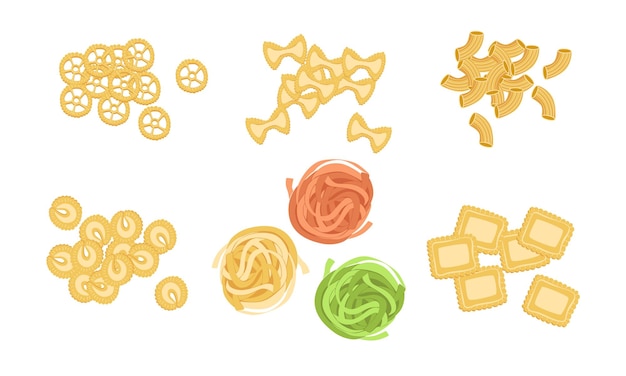 Vector pasta verschillende soorten droge italiaanse traditionele voedsel vector illustratie