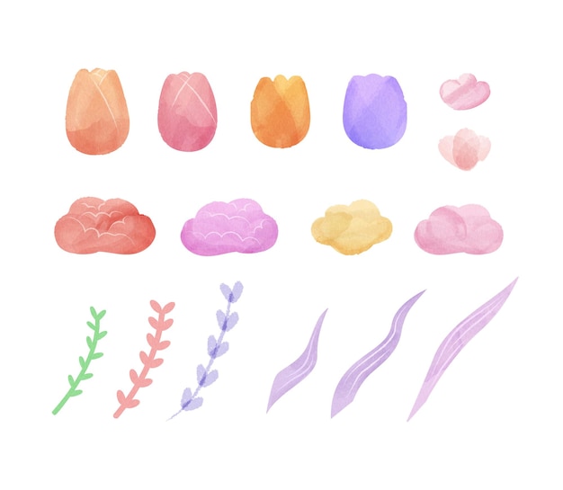 Pastel watercolor flower elements