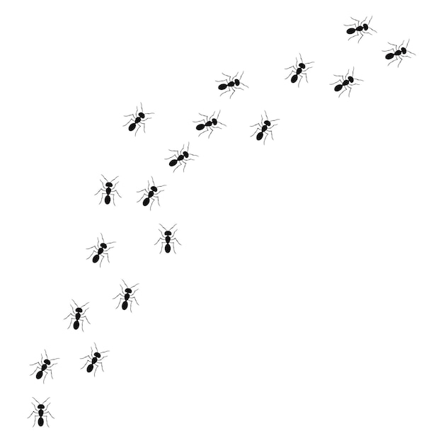 A path of ants running up view from above vector illustration in flat cartoon style