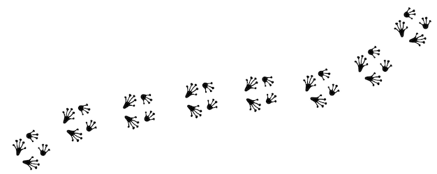 Vector path footprints of frog or toad tracks of paw prints silhouette vector isolated on white trail of