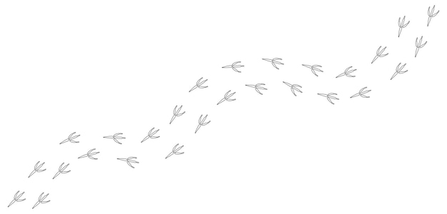 Path of white footprints of crow raven magpie sparrow dove bird in the snow contour track vector