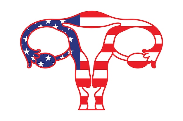 Patriotic uterus with american flag vector illustration