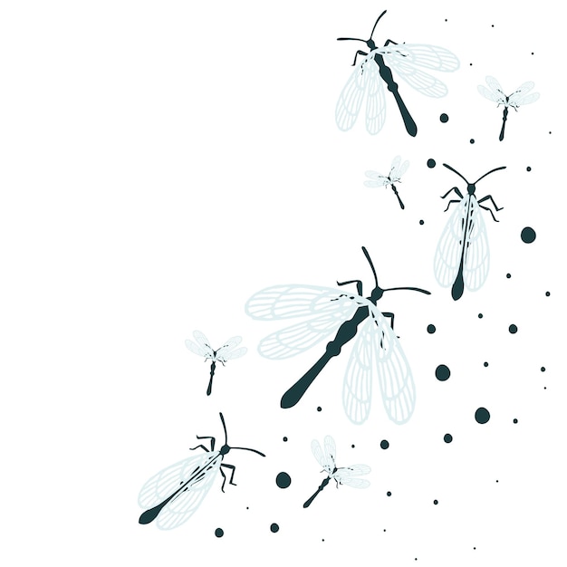 Patroon met eenvoudige platte kever met verschillende vleugels insecten platte vectorillustratie op witte background
