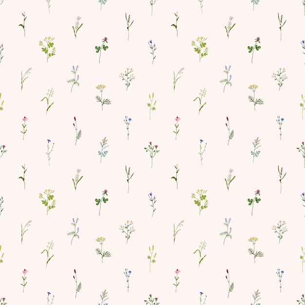 Patroon met wilde bloemen. Naadloze bloemenachtergrond met herhaalbare botanische print. Kruidenbloemen, planten, wilde bloemen achtergrondontwerp voor verpakking en stof. Gekleurde platte vectorillustratie voor decor