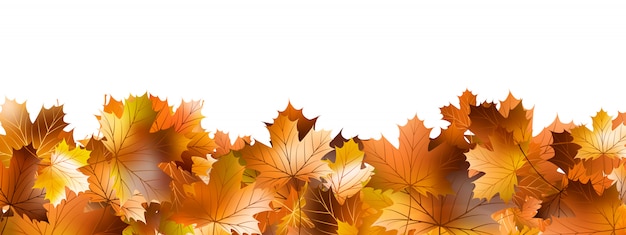 Vector pattern of autumn leaves.