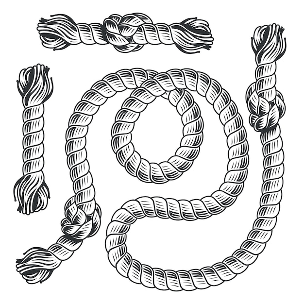 Vector pattern brush nautical rope knot marine sailor