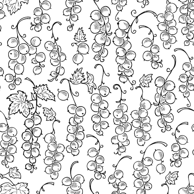 Vector pattern of the currant berries