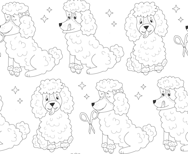 Pattern different poodle  and star on isolated background