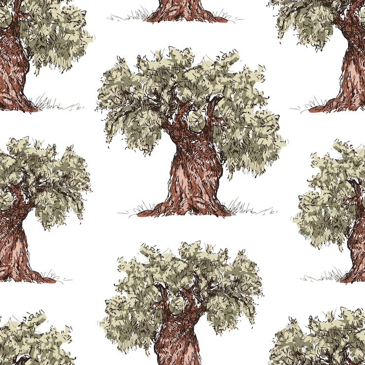 Vector pattern of the drawn olive trees