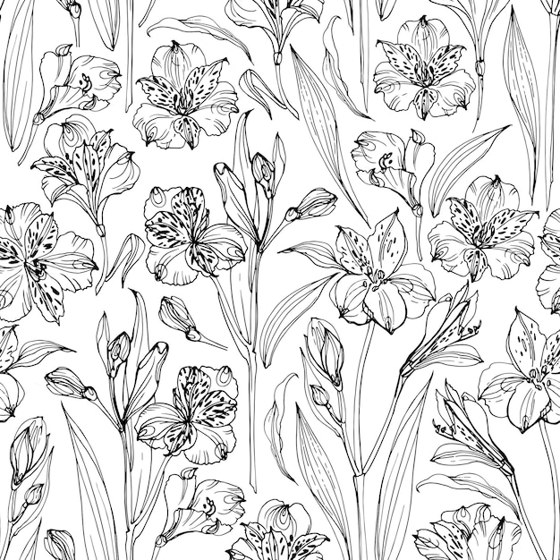 Pattern Flowers vector line drawing Alstroemeria Set of floral elements Wedding decorations