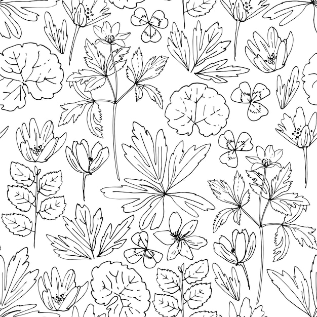 Vector pattern flowers vector line drawing anemone forest and meadow flowers and herbs drawn by a black line on a white background