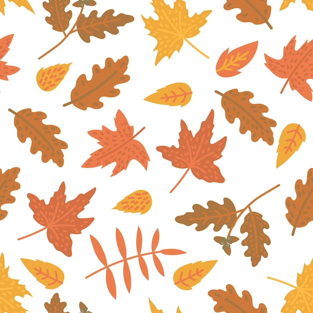 Vector pattern from hand drawn autumn leaves