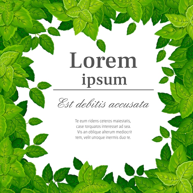 Pattern of green leaves. various shapes of leaves of trees and plants. floral, foliage  elements.  illustration with place for your text. website page and mobile app